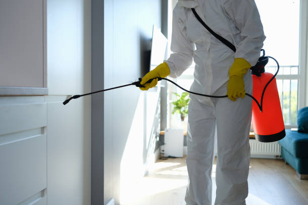 Best Kitchen Mold Remediation in Galena, IL