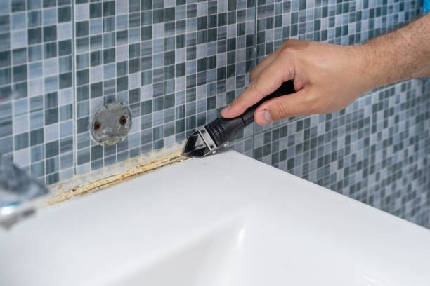 Best White Mold Remediation in Galena, IL